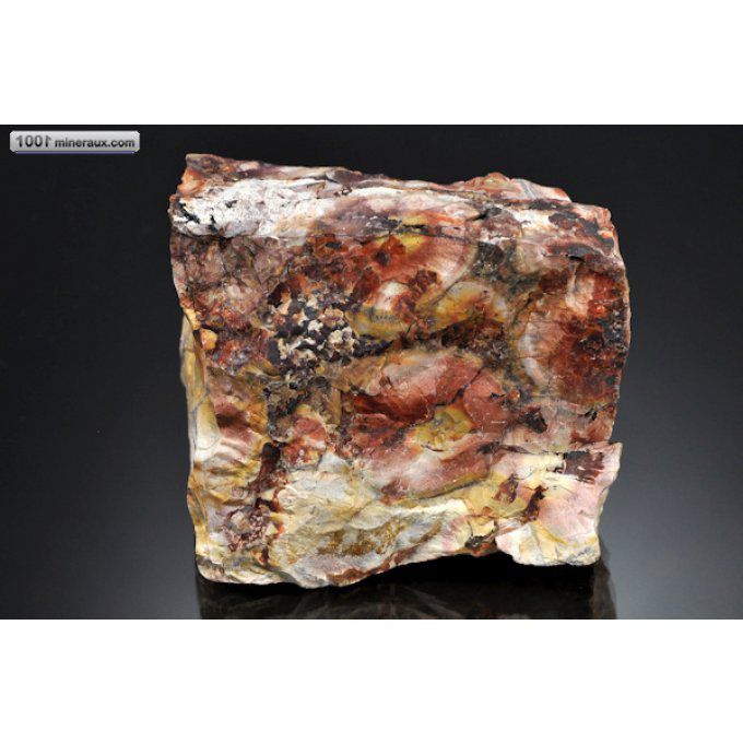 jaspe-ocelles-bresil