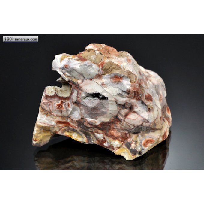 jaspe-ocelles-bresil