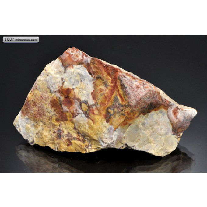 jaspe-ocelles-bresil