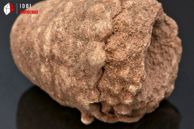 stromatolite_fossiles