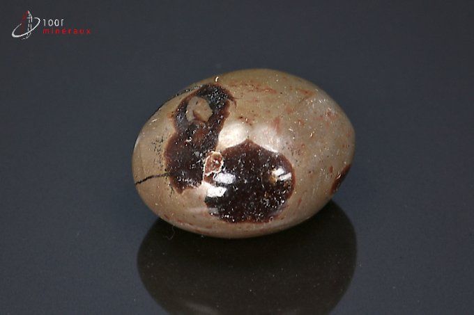 septaria-mineraux-lithotherapie