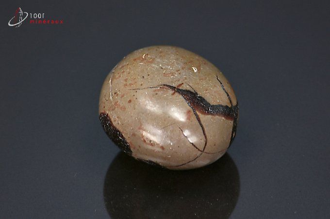 septaria-mineraux-lithotherapie