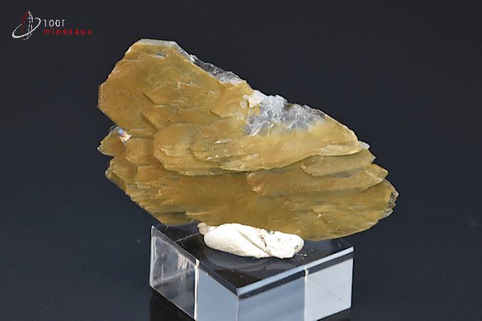 cristaux de baryte bleue