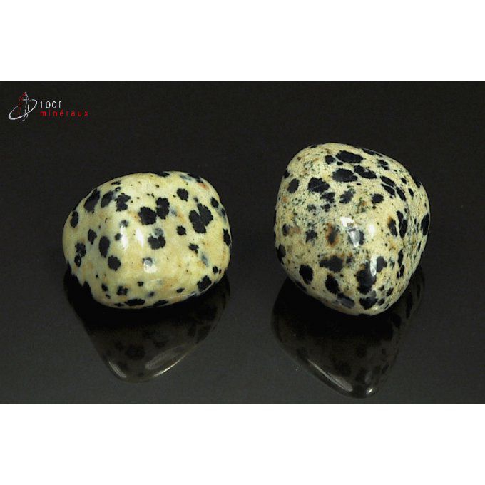 Lot de 2 Jaspes dalmatiens polis - Mexique - pierres roulées 2.3 - 2.4 cm / 19 g / AT32
