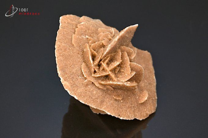 rose des sables mineraux