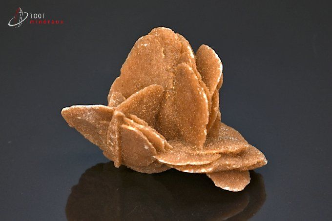 rose des sables mineraux