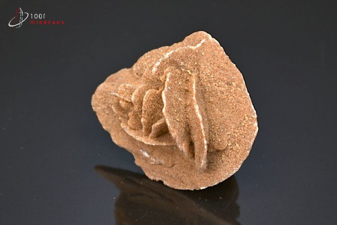 rose des sables mineraux