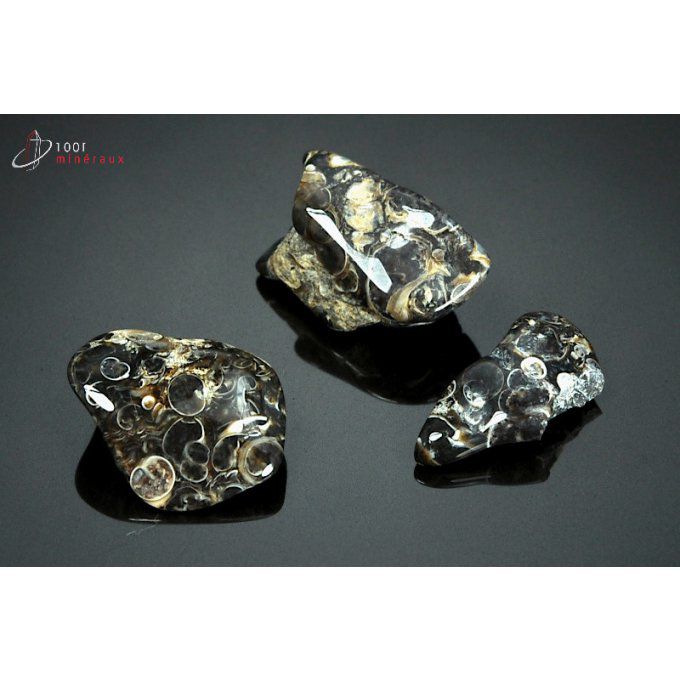 agate-turritelle-pierre-polie-mineraux-bresil