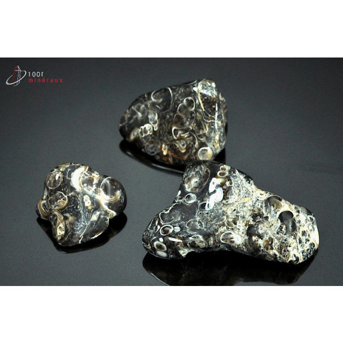 agate-turritelle-pierre-polie-mineraux-bresil