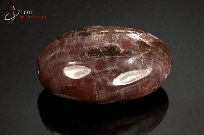 galet-fossile-mineraux