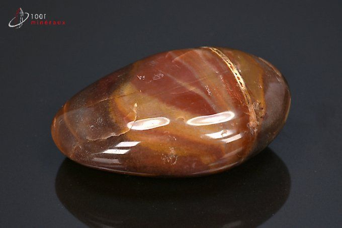 bois-fossile-lithotherapie