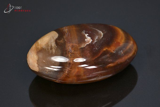 bois-fossile-lithotherapie