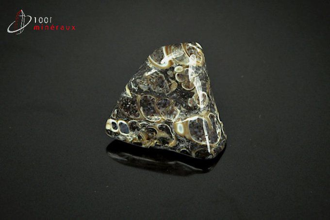 agate-turritelles-pierre