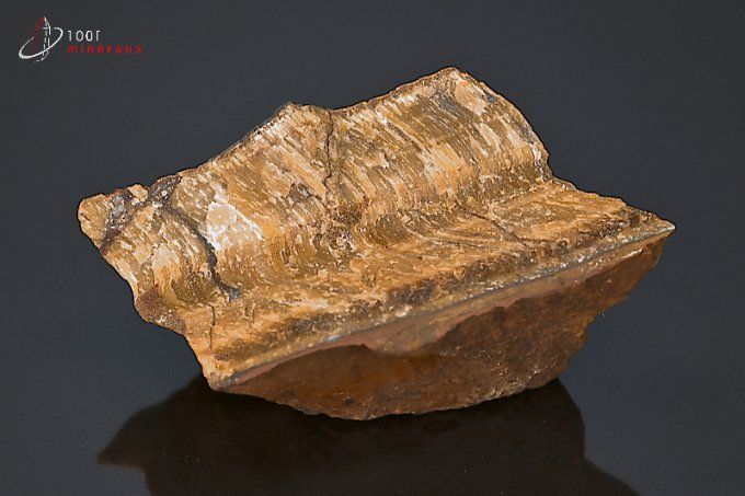 quartz-mineraux-cristaux