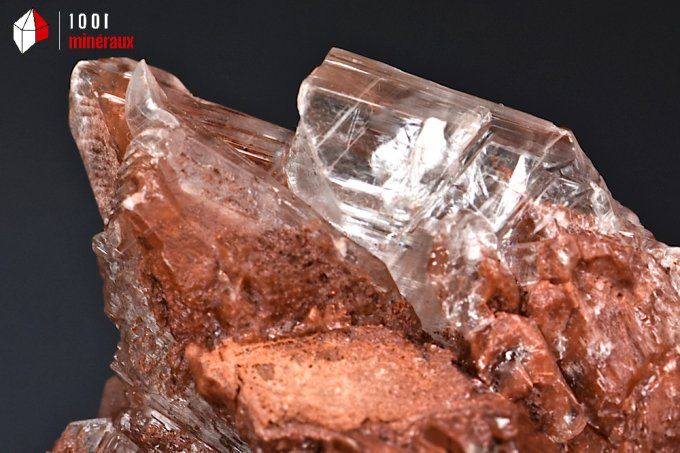 gypse_cristaux_mineraux