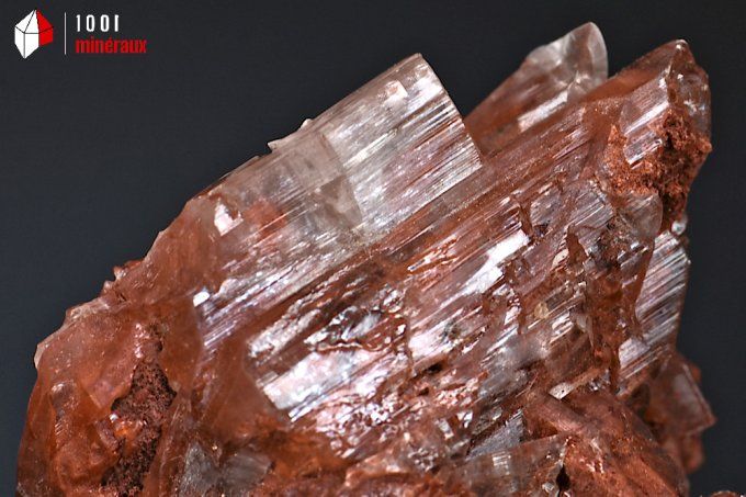 gypse_cristaux_mineraux