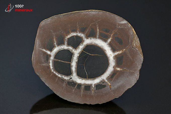 septaria_mineraux