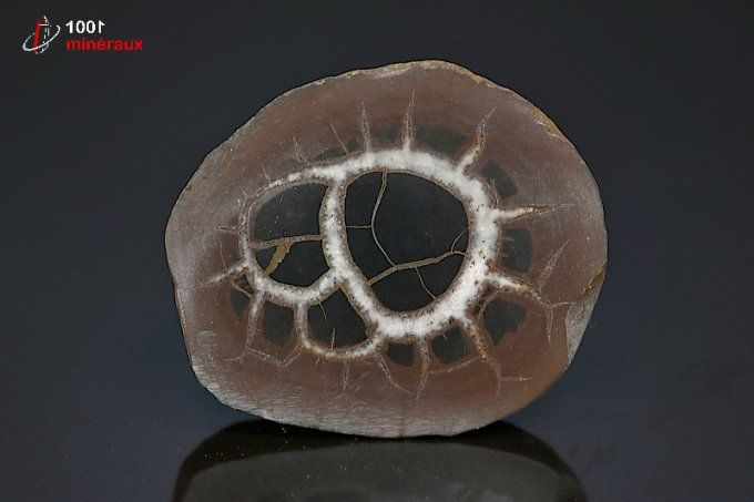 septaria_mineraux