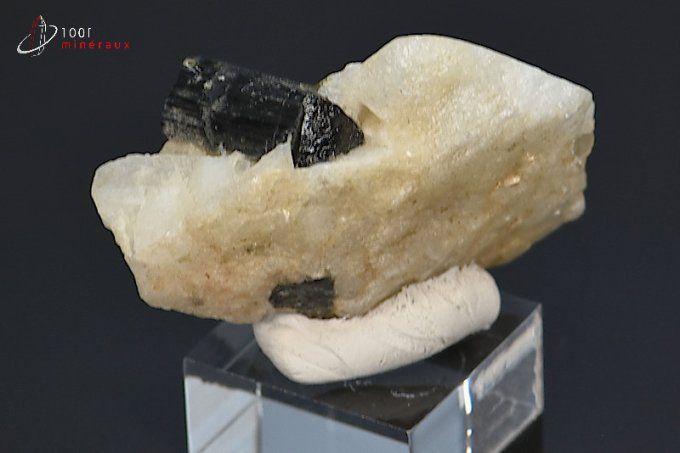cristal de tourmaline noire sur albite