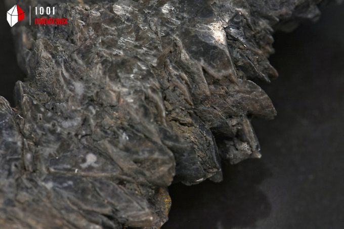 gypse_mineraux_cristaux