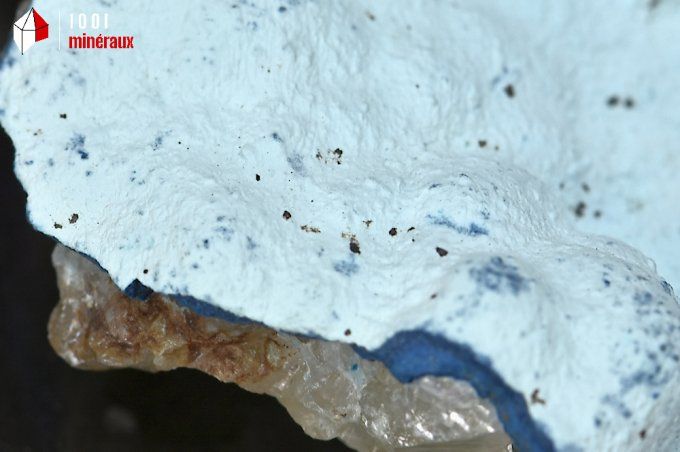 chrysocolle_shattuckite_mineraux