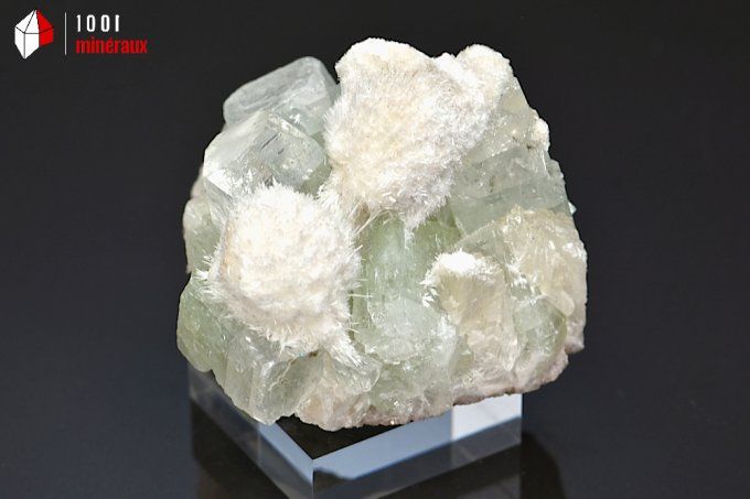 apophyllite_mordenite_mineraux_cristaux