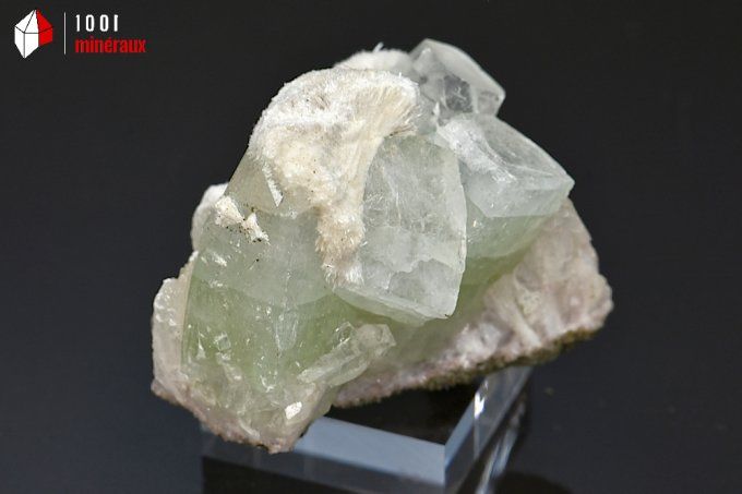 apophyllite_mordenite_mineraux_cristaux