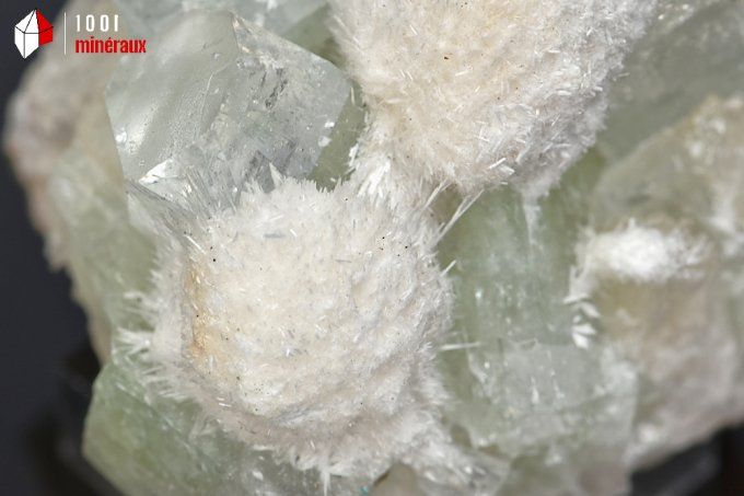 apophyllite_mordenite_mineraux_cristaux