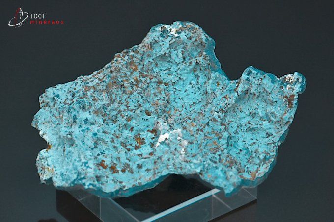 Shattuckite et Chrysocolle - R.D. Congo - minéraux à cristaux 7,2 cm / 22g / BE684