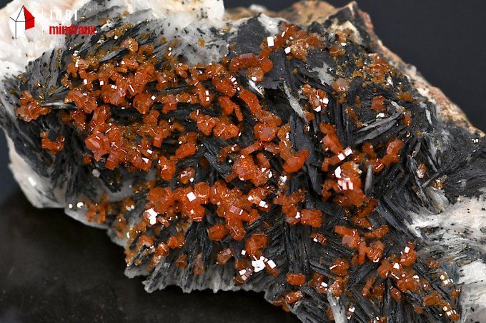 vanadinite_mineraux_cristaux