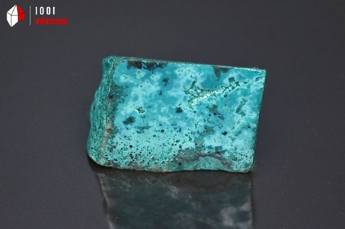 chrysocolle semi-polie bleue