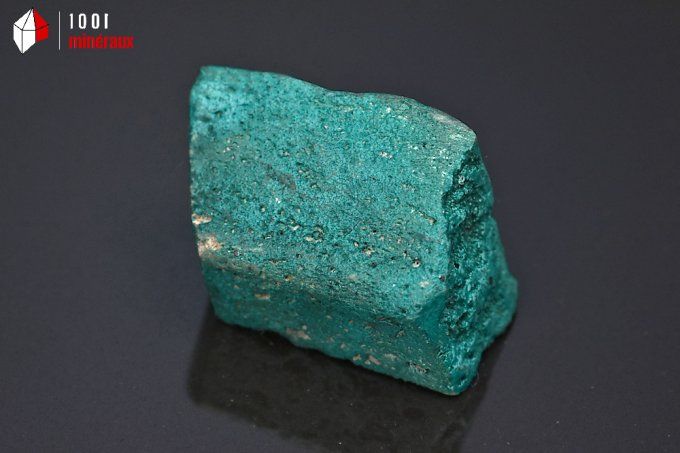 chrysocolle semi-polie bleue