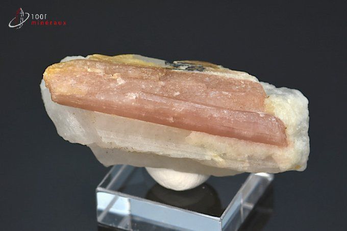 cristal de tourmaline rose sur quartz