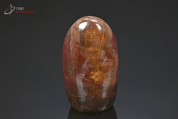 bois_fossiles_mineraux