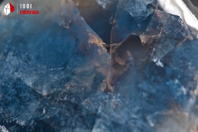 fluorine bleue translucide