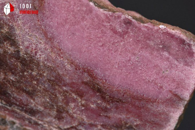 plaque de rhodonite polie