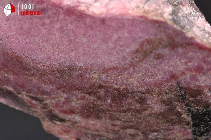plaque de rhodonite polie