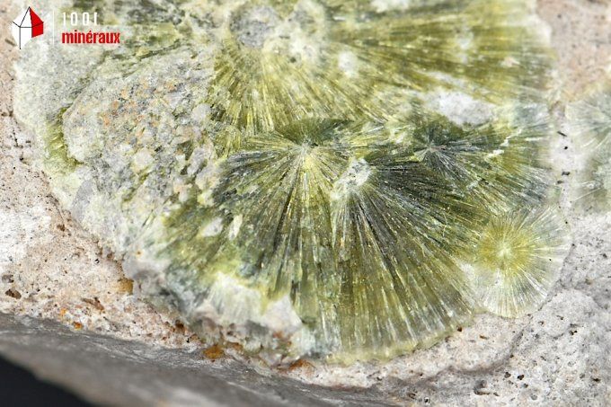 wavellite_mineraux_cristaux